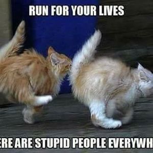 Meet your Posher, Lynne